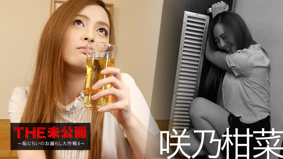 THE 未公開 ~恥じらいのお漏らし大作戦4~